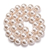 Baking Paint Pearlized Glass Pearl Round Bead Strands PEAR-H019-02E-02-2