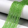 Transparent Glass Beads Strands GLAA-H021-03-18-3