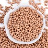 Baking Paint Glass Seed Beads X1-SEED-K010-A21-3