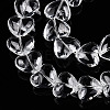 Transparency Glass Beads Strands GLAA-T023-13B-3