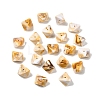 Opaque Acrylic Beads OACR-D320-02E-1