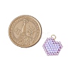 Seed Beads Beaded Charms PALLOY-MZ00359-04-2