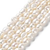 Natural Cultured Freshwater Pearl Beads Strands PEAR-Z002-16-1