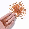 6/0 Glass Seed Beads SEED-US0003-4mm-109-4