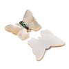 Natural White Shell & Paua Shell Cabochons SSHEL-I026-27-2