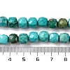 Natural Howlite Beads Strands G-G001-B03-07-5