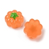 Resin Cabochons RESI-S012-03B-2