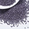 MIYUKI Delica Beads X-SEED-J020-DB1174-4