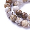 Natural America Petrified Wood Beads Strands G-P430-08-C-3