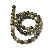 Natural Green Lepidolite Beads Strands G-K350-C01-8mm-3