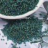 MIYUKI Delica Beads SEED-X0054-DB2381-1
