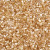 Glass Bugle Beads SEED-S032-11A-102-3