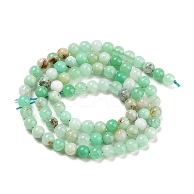 Natural Chrysoprase Beads Strands G-P503-6MM-03-1