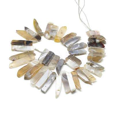 Natural Botswana Agate Beads Strands G-R419-20-1