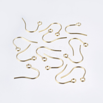 304 Stainless Steel Earring Hooks STAS-P162-13P-B-1