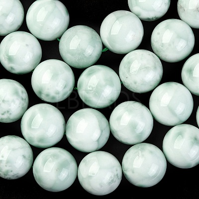 Natural Glass Beads Strands G-I247-31H-1