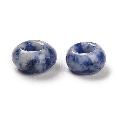 Natural Blue Spot Jasper European Beads G-R488-02B-1