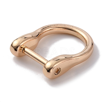 Alloy D-Rings with Screw Shackle FIND-WH0010-29-1