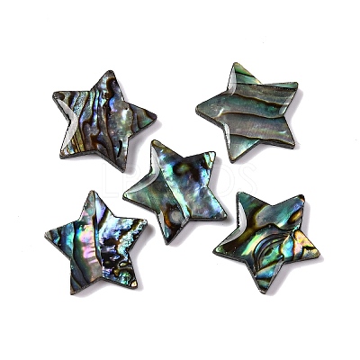 Natural Paua Shell Epoxy Resin Cabochons SSHEL-S279-01F-1