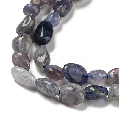Natural Iolite Beads Strands G-P497-01A-13-1