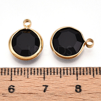 K9 Glass Charms X1-GLAA-T023-37A-01-1