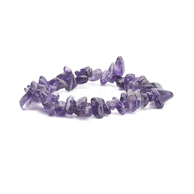 Natural Amethyst Chips Beaded Jewelry Set SJEW-JS01232-03-1