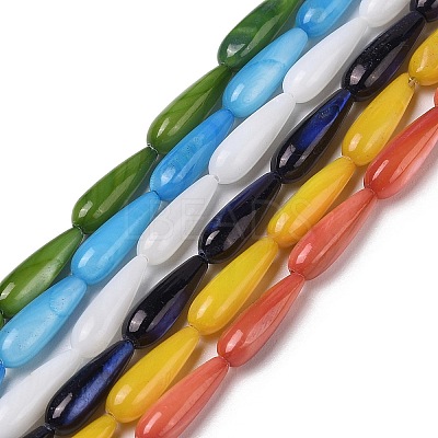 Natural Freshwater Shell Beads Strands SHEL-A004-03-1