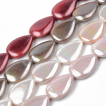 Electroplate Natural Freshwater Shell Beads Strands SHEL-R049-026-1