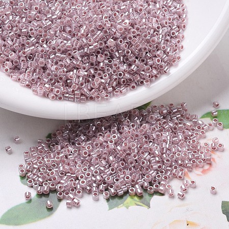 MIYUKI Delica Beads SEED-J020-DB0256-1
