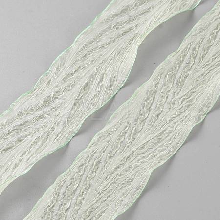 Polyester Pleated Ribbons SRIB-WH20020-005D-1