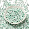 Baking Paint Glass Seed Beads SEED-F006-01A-08-2