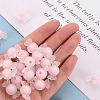 Transparent Acrylic Beads TACR-S152-13C-A01-5