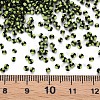 12/0 Glass Seed Beads SEED-S005-10-4