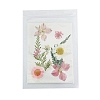 Pressed Dried Flowers DIY-B070-01C-1