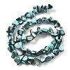 Dyed Natural Trochus Shell Beads Strands BSHE-Z006-01E-2