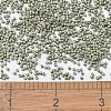 MIYUKI Delica Beads SEED-JP0008-DB1170-4