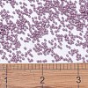 MIYUKI Delica Beads SEED-X0054-DB0800-2