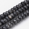 Natural Larvikite Beads Strands G-S272-13-1