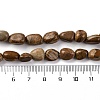 Natural Picture Jasper Beads Strands LS-G-G146-A01-01-5