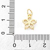 Brass Micro Pave Cubic Zirconia Charms X-KK-S510-13G-3