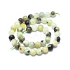 Natural Serpentine Beads Strands G-F715-110B-2