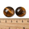 Natural Tiger Eye Cabochons G-C115-02A-36-3