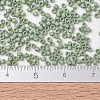 MIYUKI Delica Beads SEED-X0054-DB2310-3