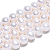 Natural Cultured Freshwater Pearl Beads Strands PEAR-N013-08F-3