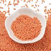 Baking Paint Glass Seed Beads X-SEED-S042-05B-83-2