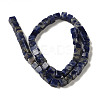 Natural Sodalite Beads Strands G-B078-K01-01-3