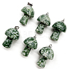 Natural Green Spot Jasper Pendants FIND-SZC0010-549-1