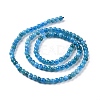 Natural Apatite Beads Strands G-D856-01-4mm-A-2