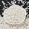 Glass Seed Beads SEED-L011-04A-21-2