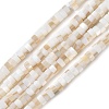 Natural Freshwater Shell Beads Strands X-SSHEL-C013-04A-1